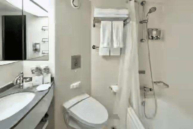 Nieuw Amsterdam Oceanview / Outside cabin