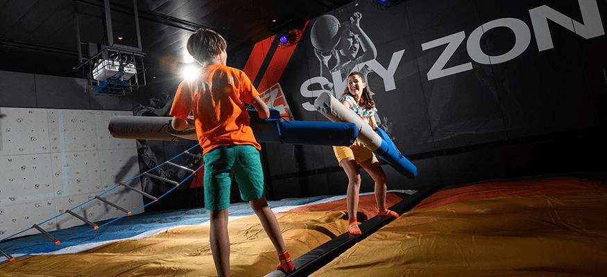 Sky Zone 3