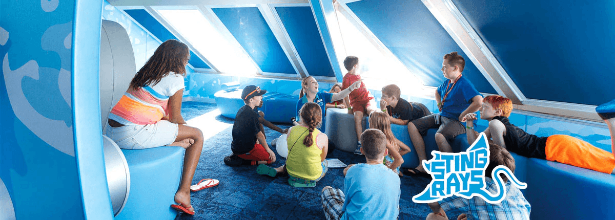 Camp Ocean 2