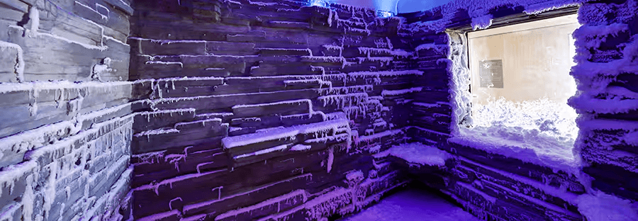 SnowRoom